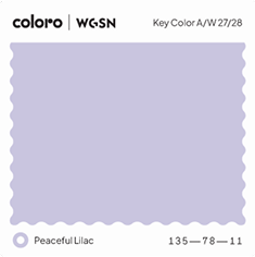 Peaceful Lilac